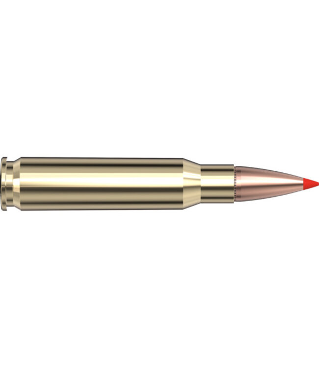 Hornady Superformance 308 WIN  180gr SST - 20rds