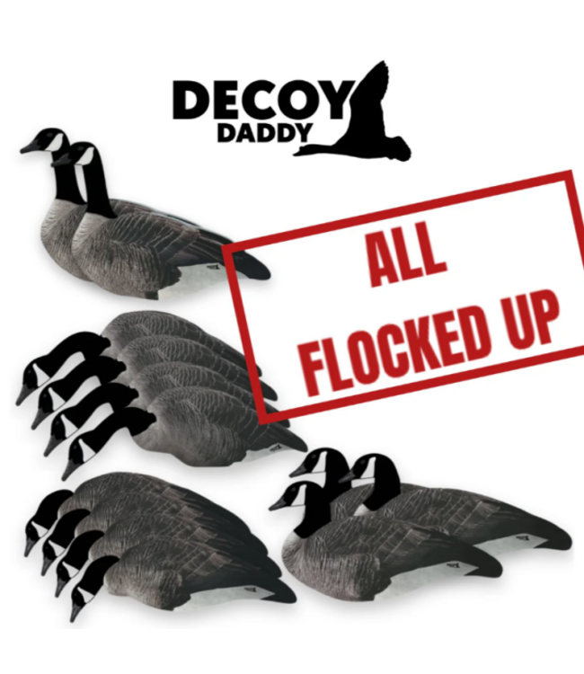 Decoy Daddy - Dirty Dozen Goose - Full Flocked