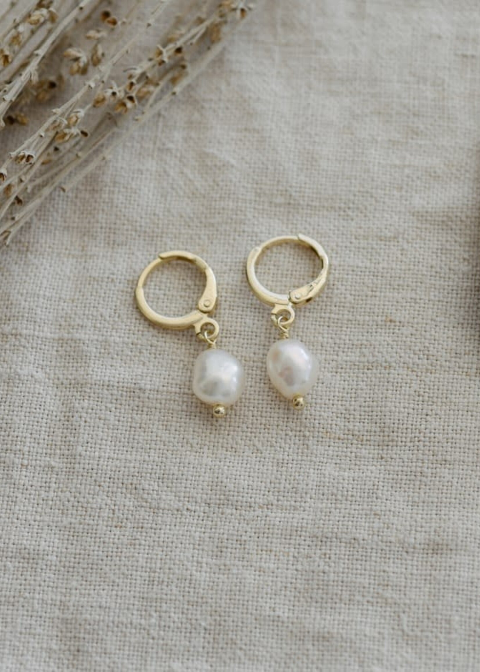 Glee Jewlery Bitsy Hoops w/Pearl