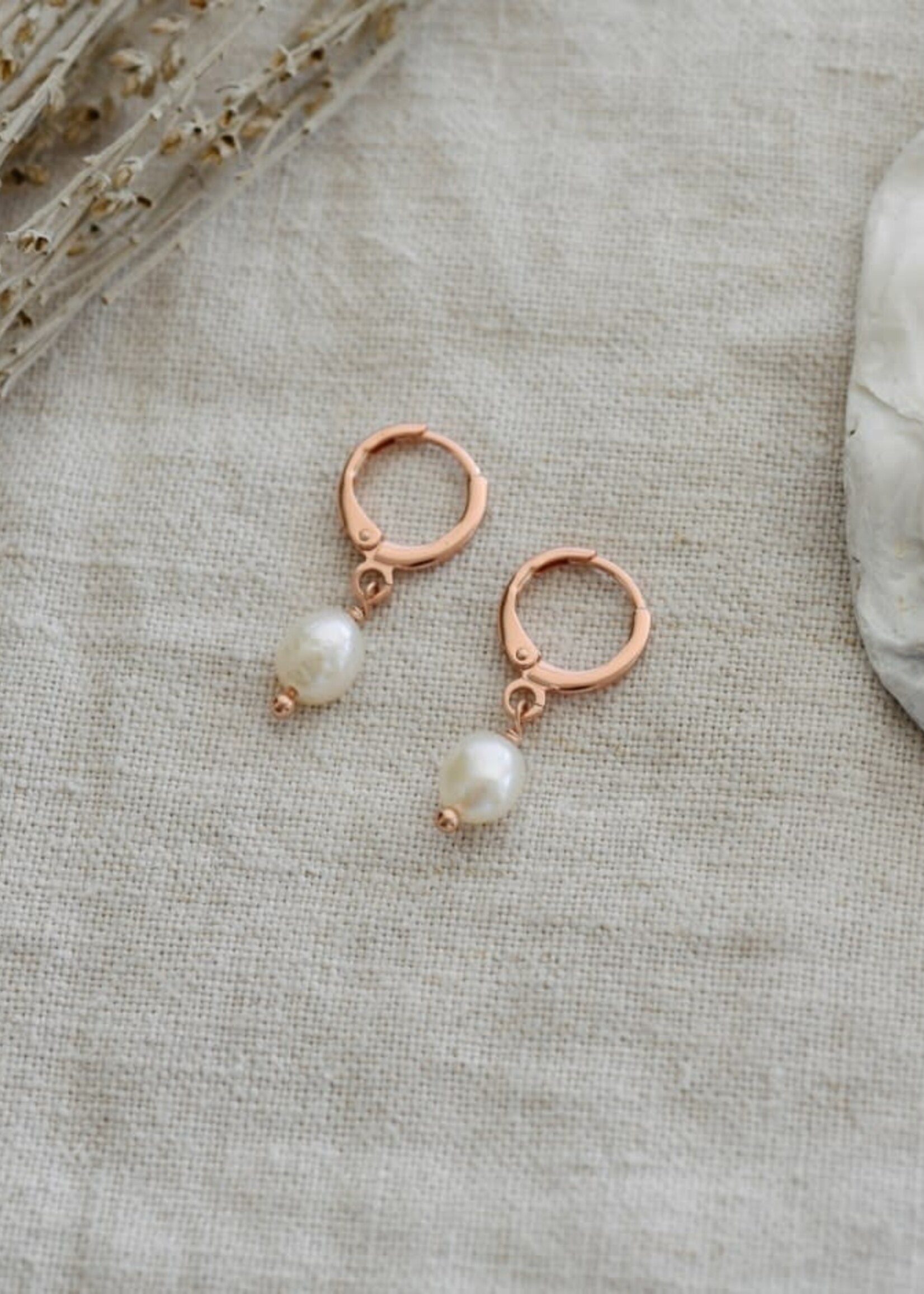 Glee Jewlery Bitsy Hoops w/Pearl