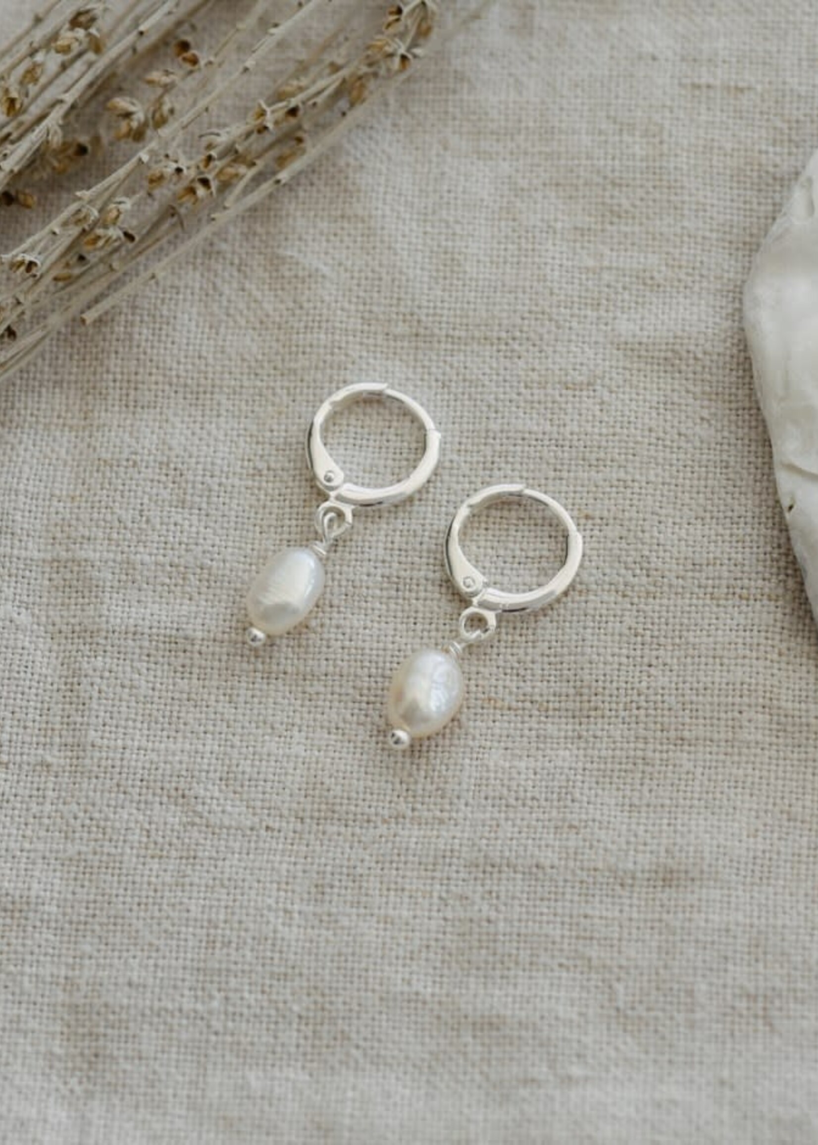 Glee Jewlery Bitsy Hoops w/Pearl