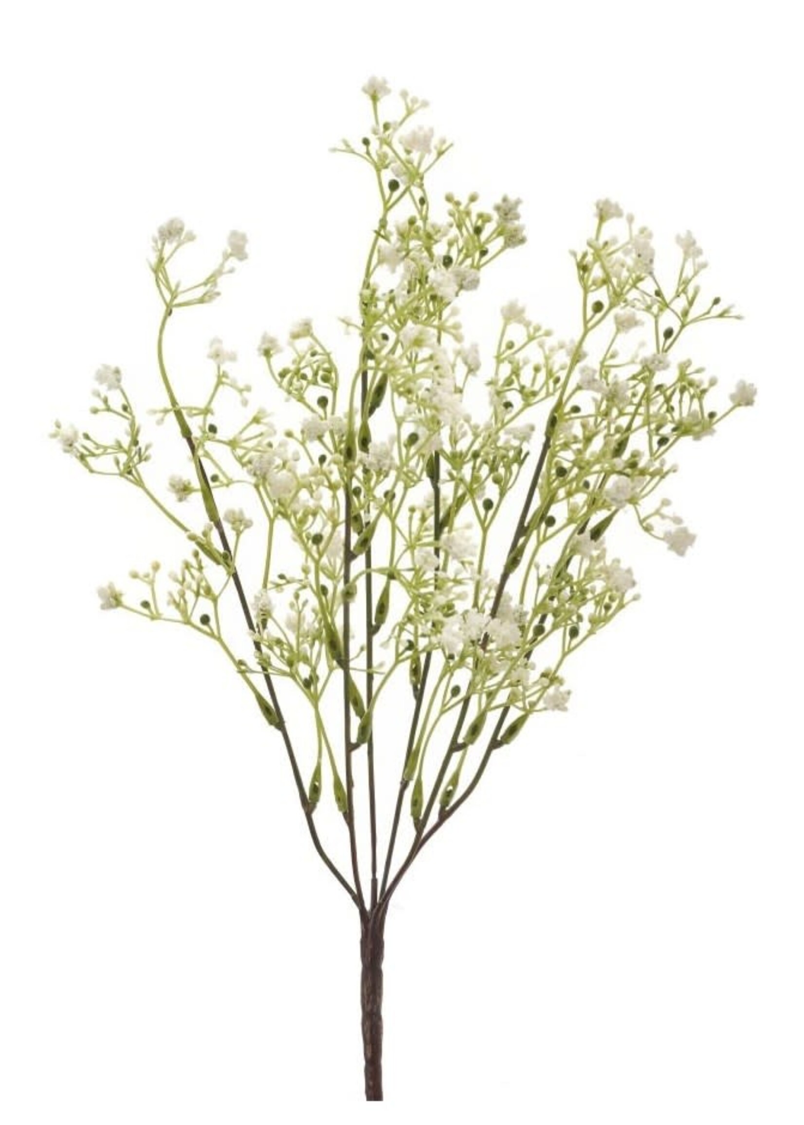 ADV - Imports Baby's Breath White Bush