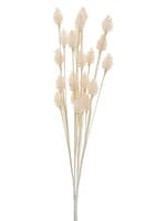 ADV - Imports Flower Stems - Cream