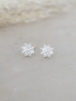 Glee Jewlery Snow Crystal Studs