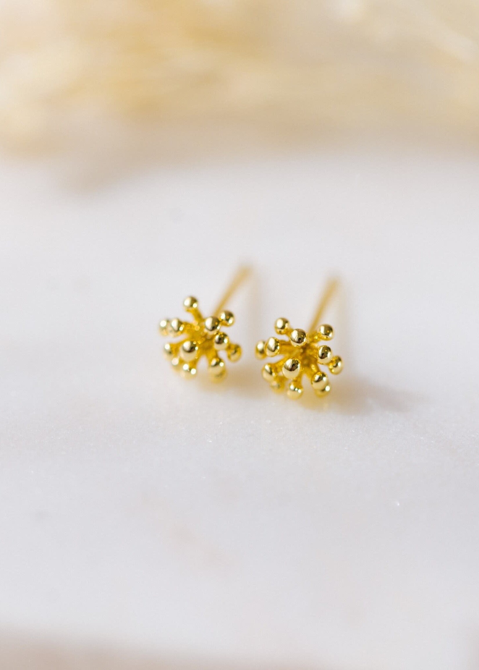 Glee Jewlery Living Coral Studs