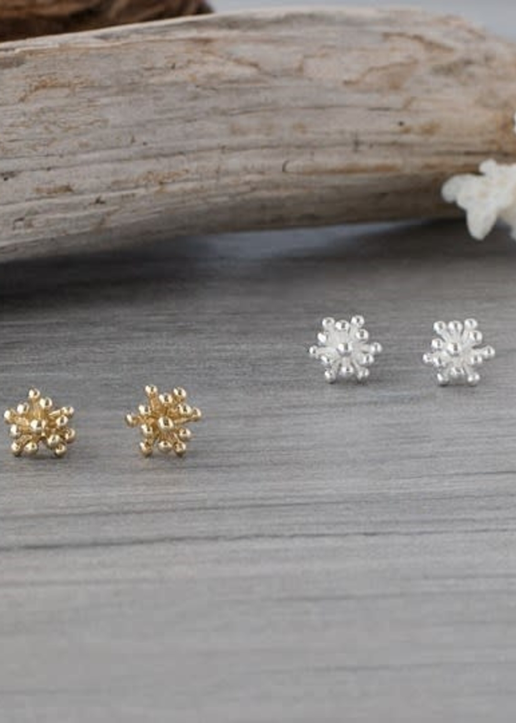Glee Jewlery Living Coral Studs
