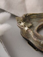 Glee Jewlery North Star Studs