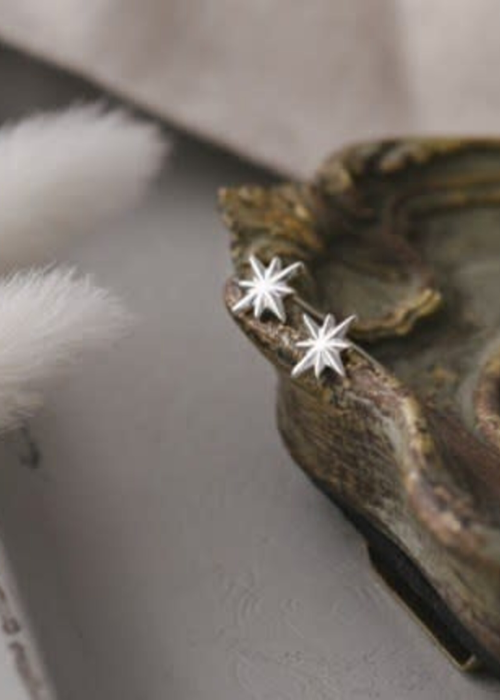 Glee Jewlery North Star Studs