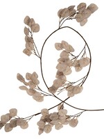 Indaba Silver Dollar Eucalyptus Garland