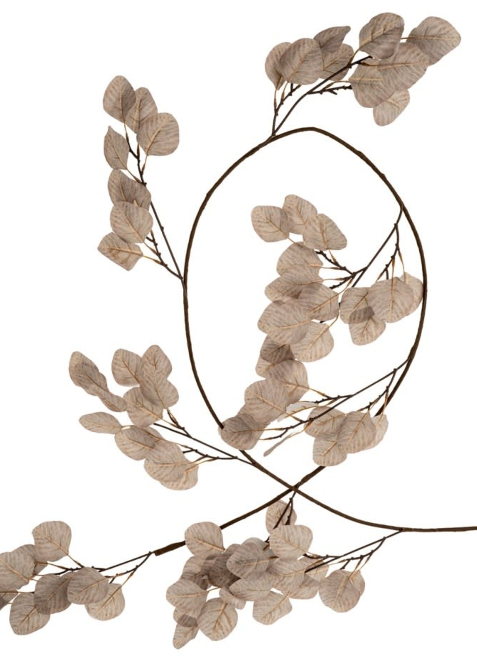 Indaba Silver Dollar Eucalyptus Garland