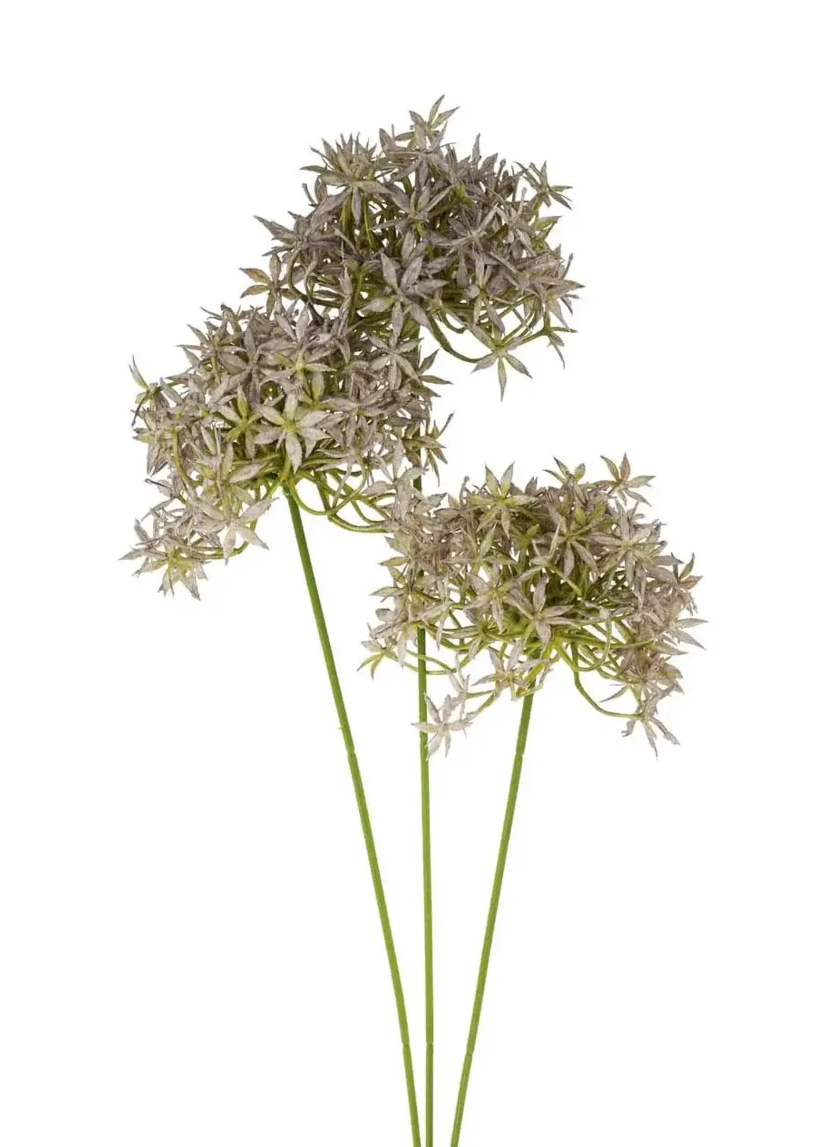 Indaba Allium Floral Spray