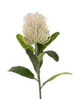 Indaba Pin Cushion Floral Stem - White