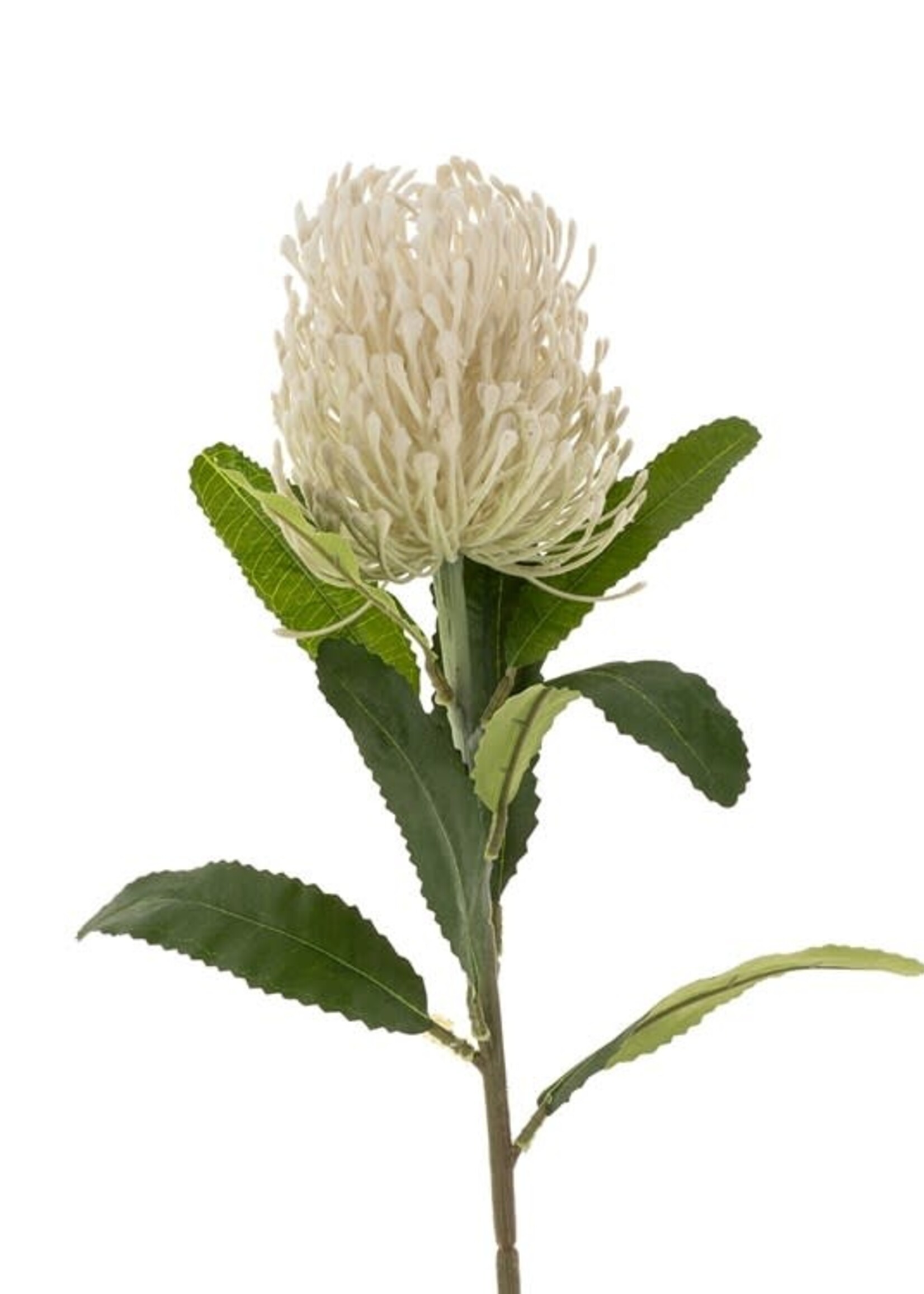 Indaba Pin Cushion Floral Stem - White