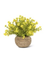 Abbott Small Yellow Flowering Plant Pot