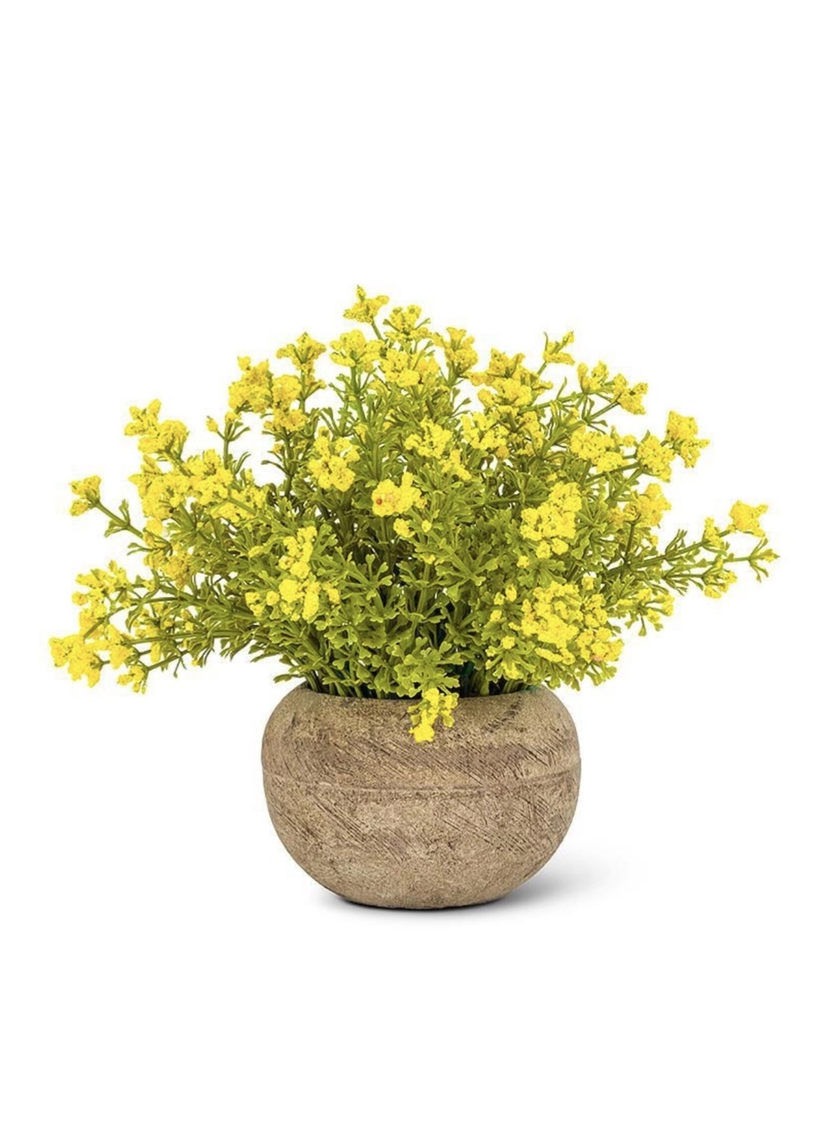 Abbott Small Yellow Flowering Plant Pot