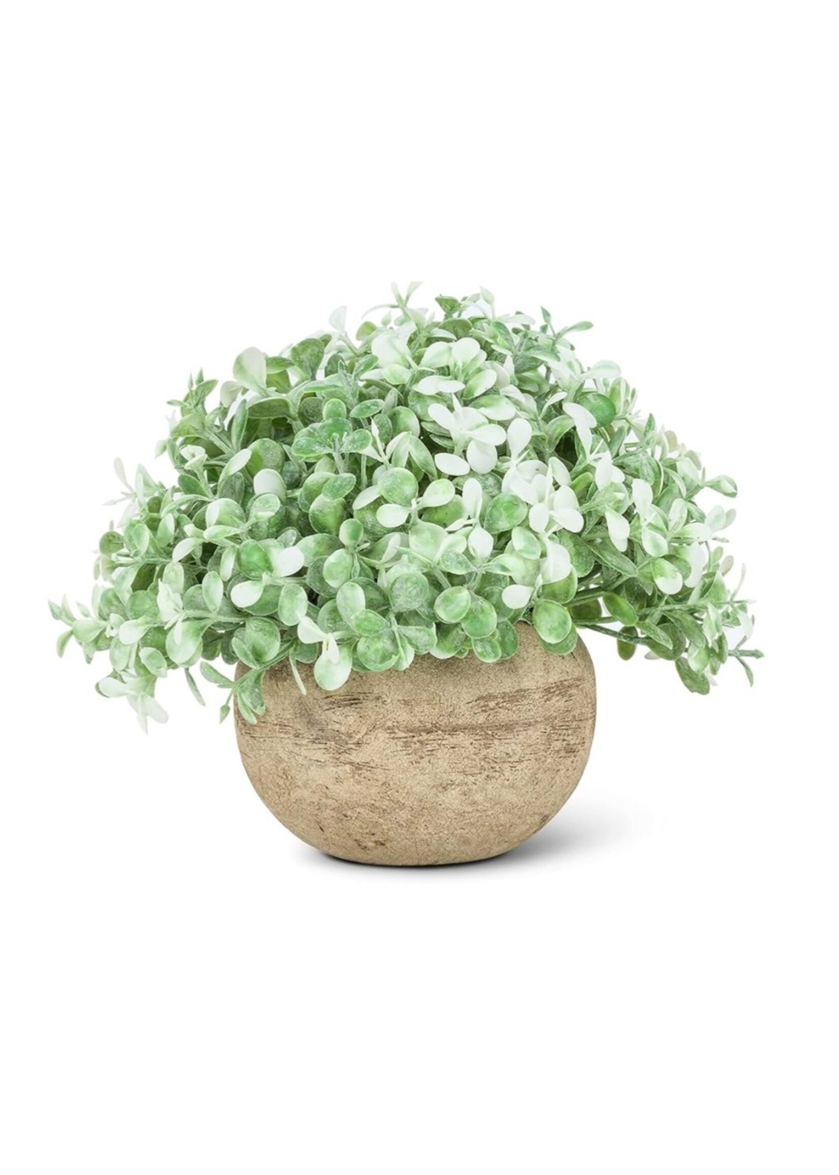 Abbott Small White Teardrop Leaf Plant Pot