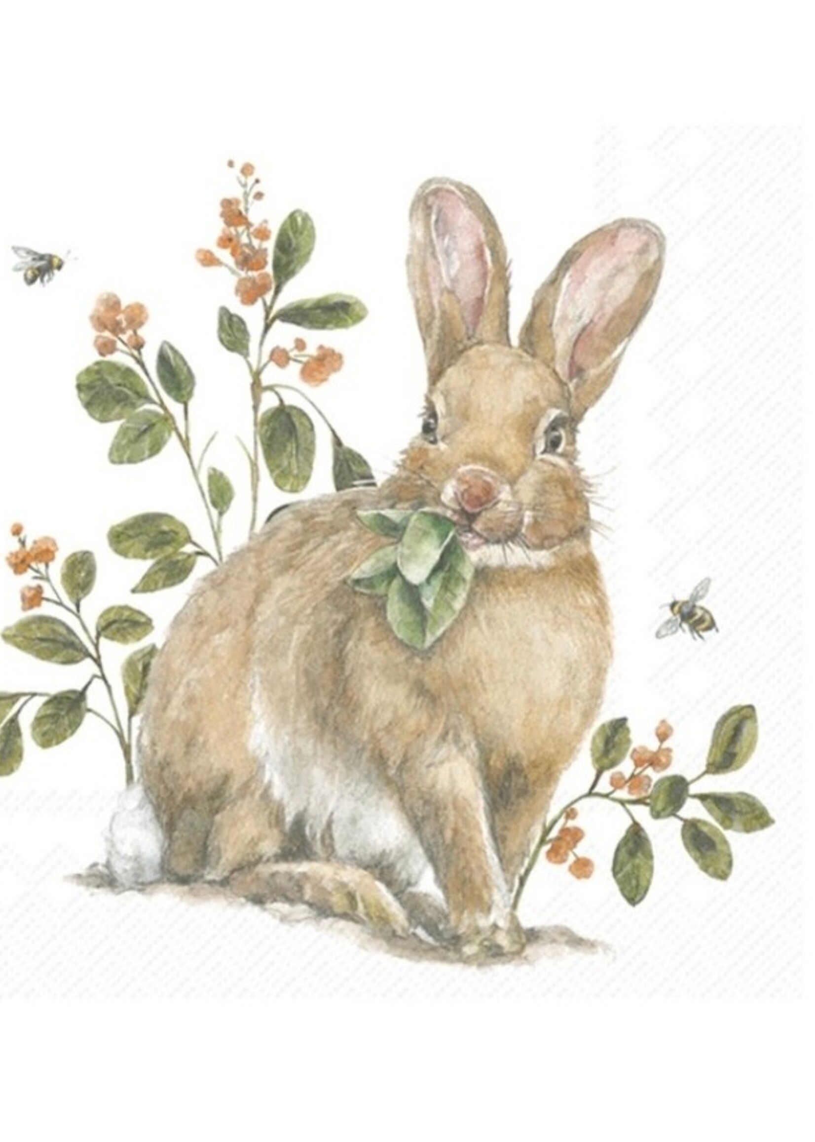 Carsim Trading Inc. Lunch Napkins - Garden Bunny