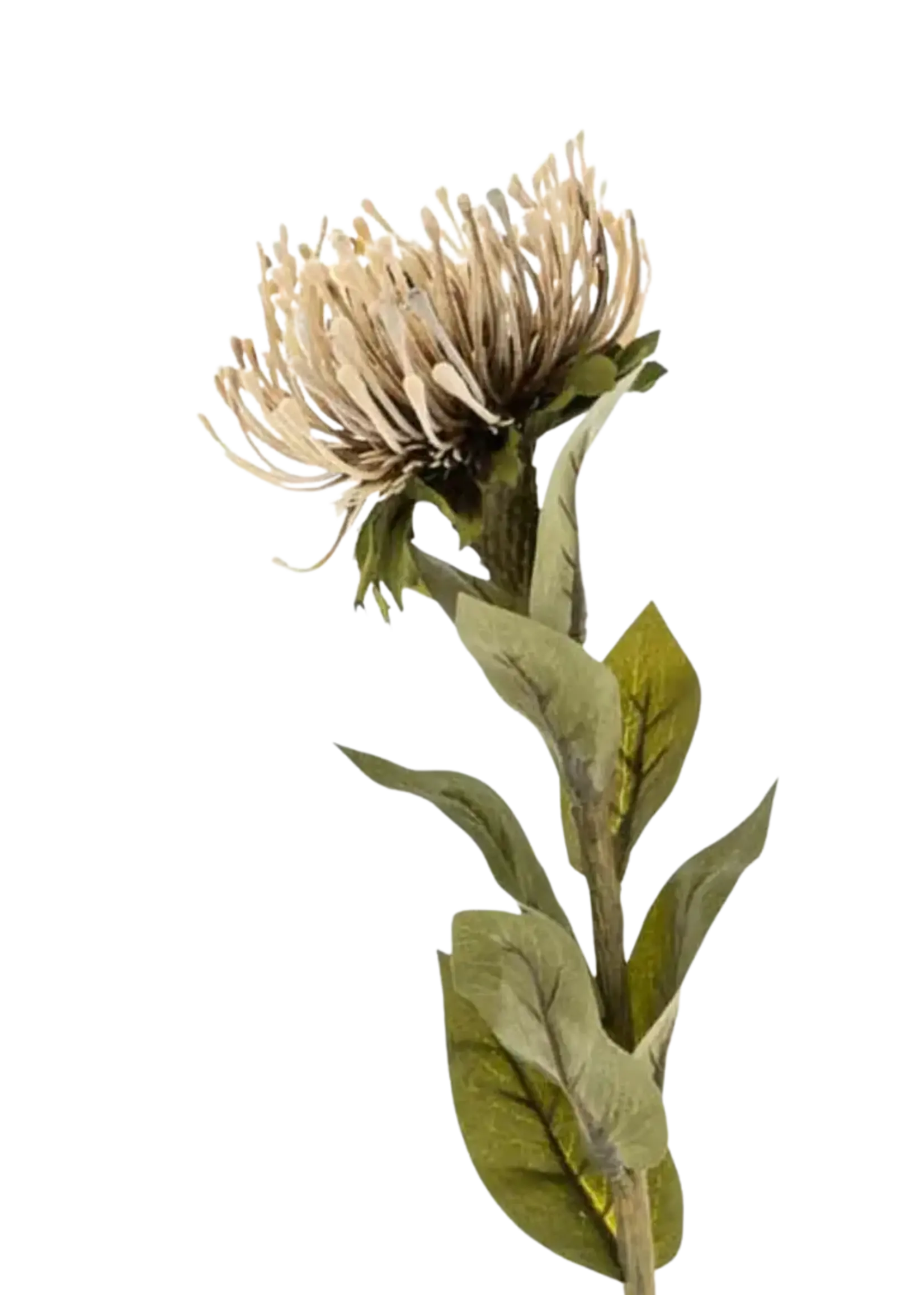 Indaba Pin Cushion Floral Stem - Natural