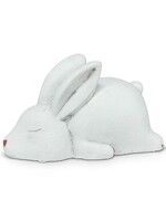 Abbott Sleeping White Bunny - 6"