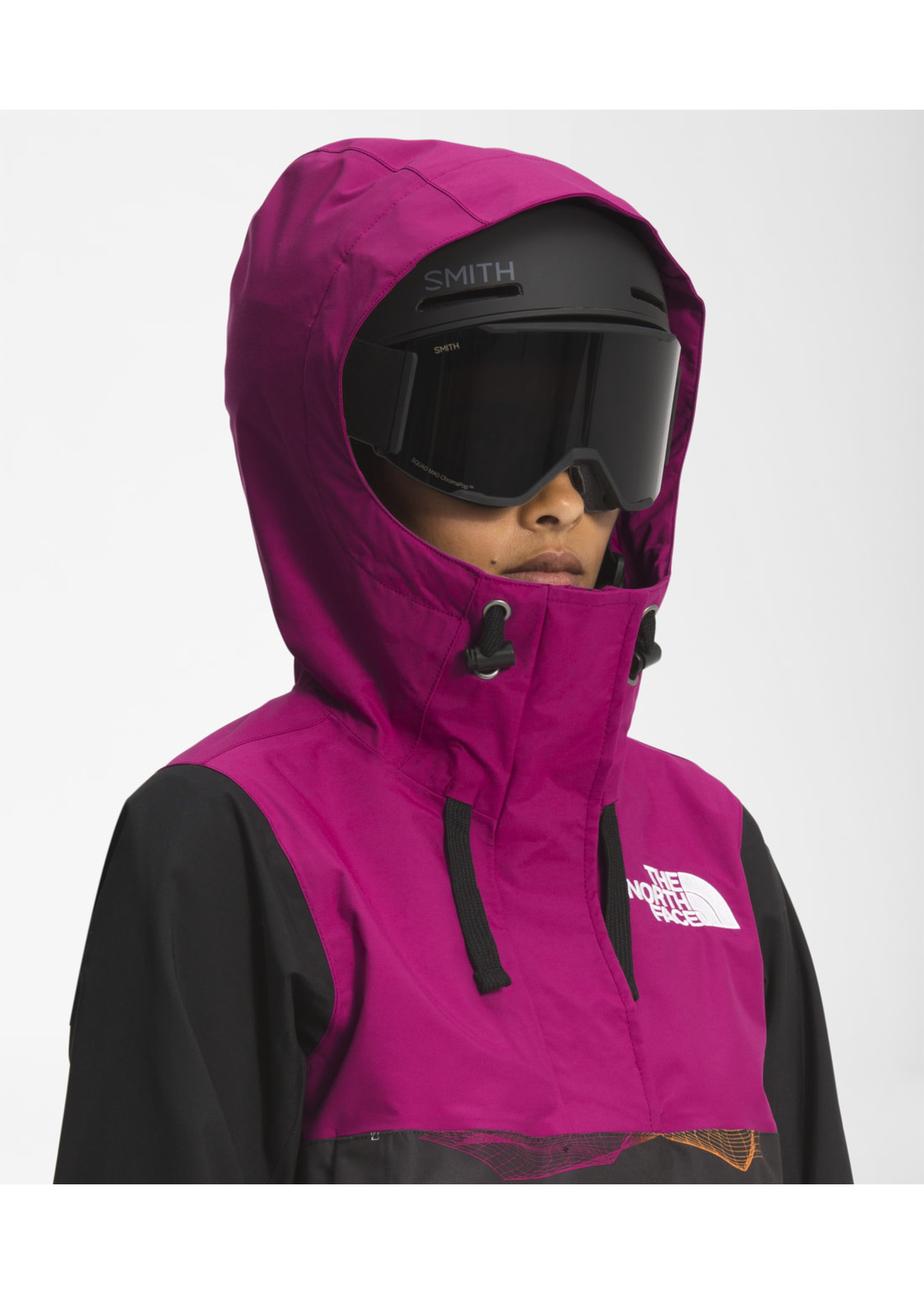 THE NORTH FACE Veste Tanager