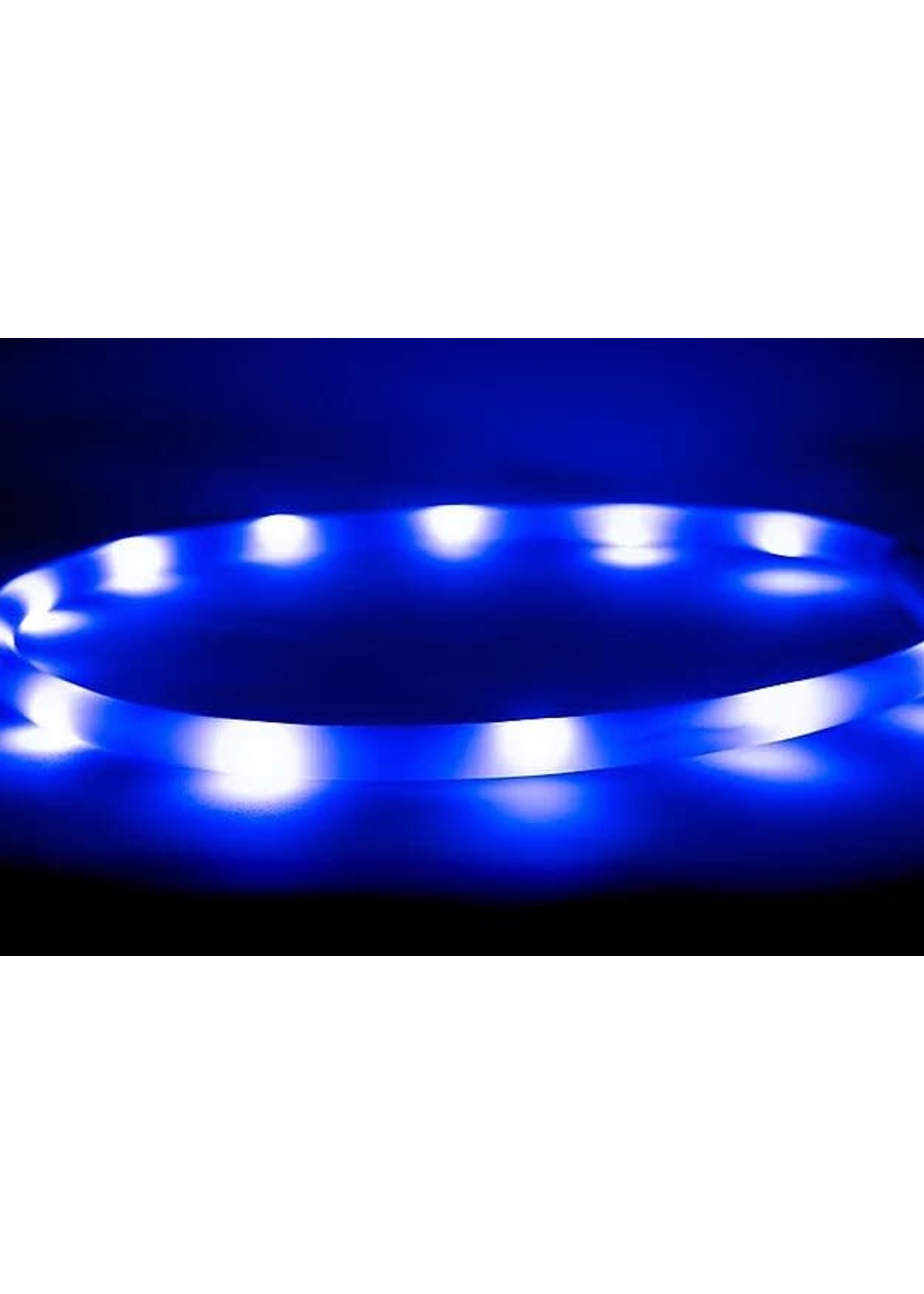 BVZBL Collier lumineux LED rechargeable pour chien