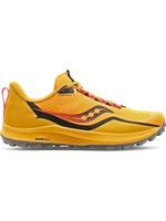 SAUCONY Souliers PEREGRINE 12 (Homme)