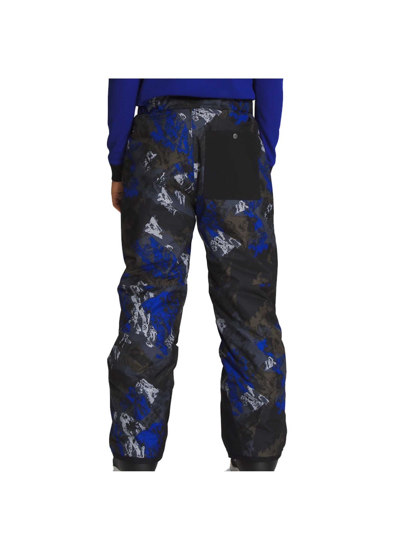 THE NORTH FACE Pantalon isolé FREEDOM