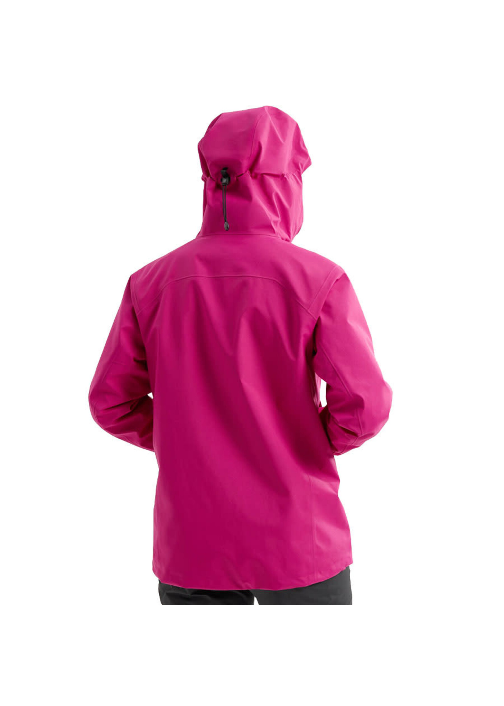 ARC'TERYX Veste à capuchon BETA / Amaranthus & Edziza (Femme)