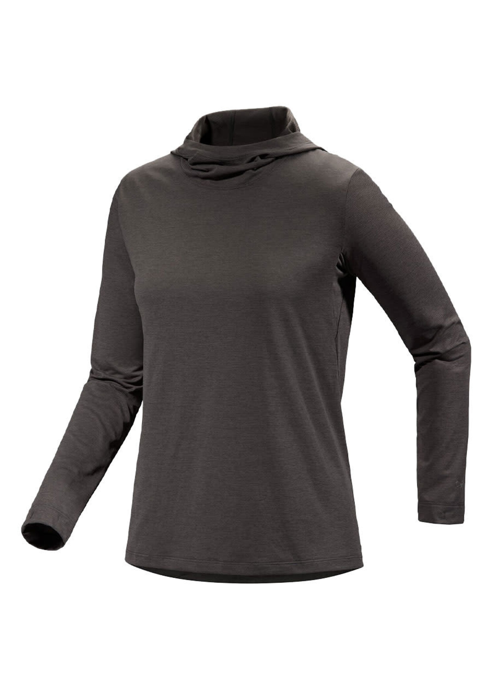 ARC'TERYX Chandail à capuchon TAEMA / Noir chiné (Femme)