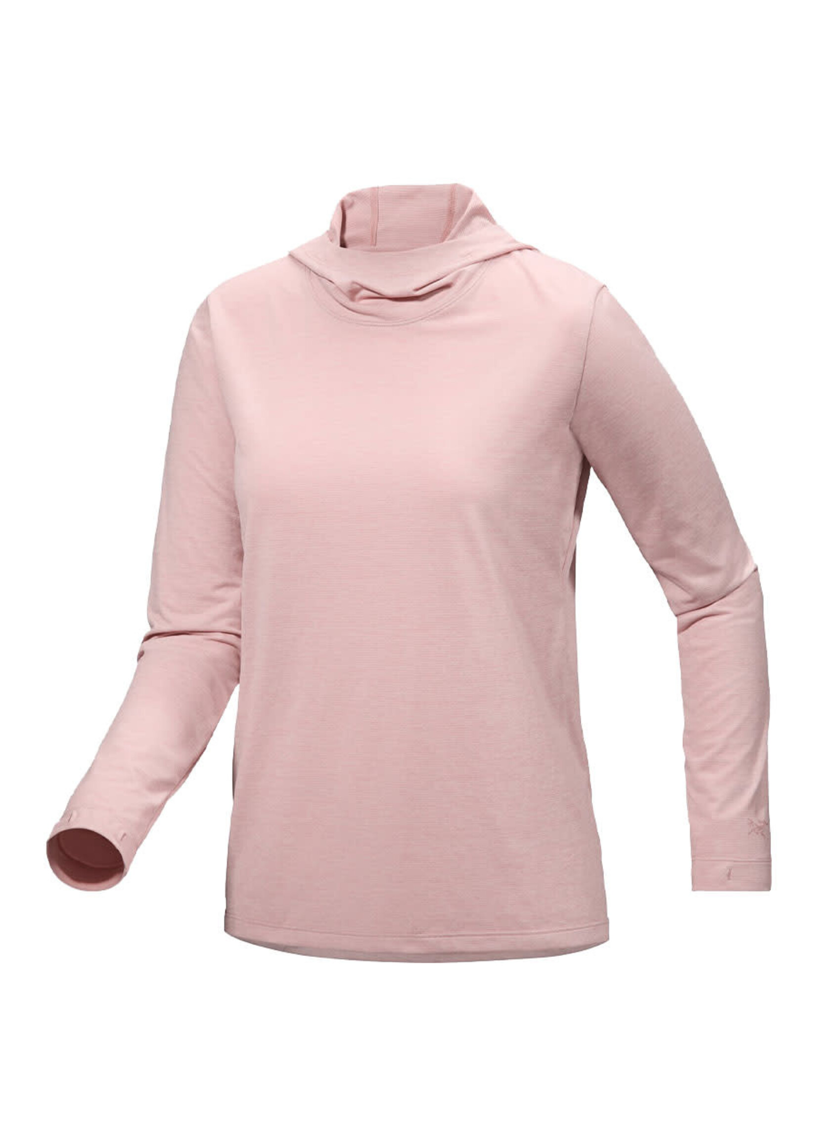 ARC'TERYX Chandail à capuchon TAEMA / Rose alpin chiné (Femme)