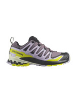 SALOMON Souliers XA PRO 3D V9 GTX / Moonscape & Orchid Petal & Sulphur Spring (Femme)