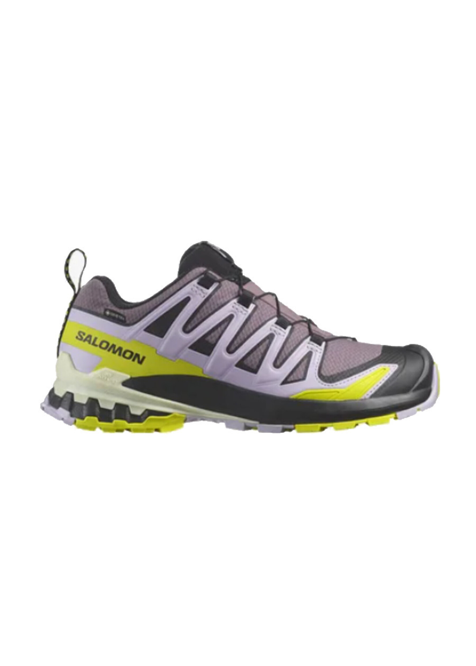 SALOMON Souliers XA PRO 3D V9 GTX / Moonscape & Orchid Petal & Sulphur Spring (Femme)