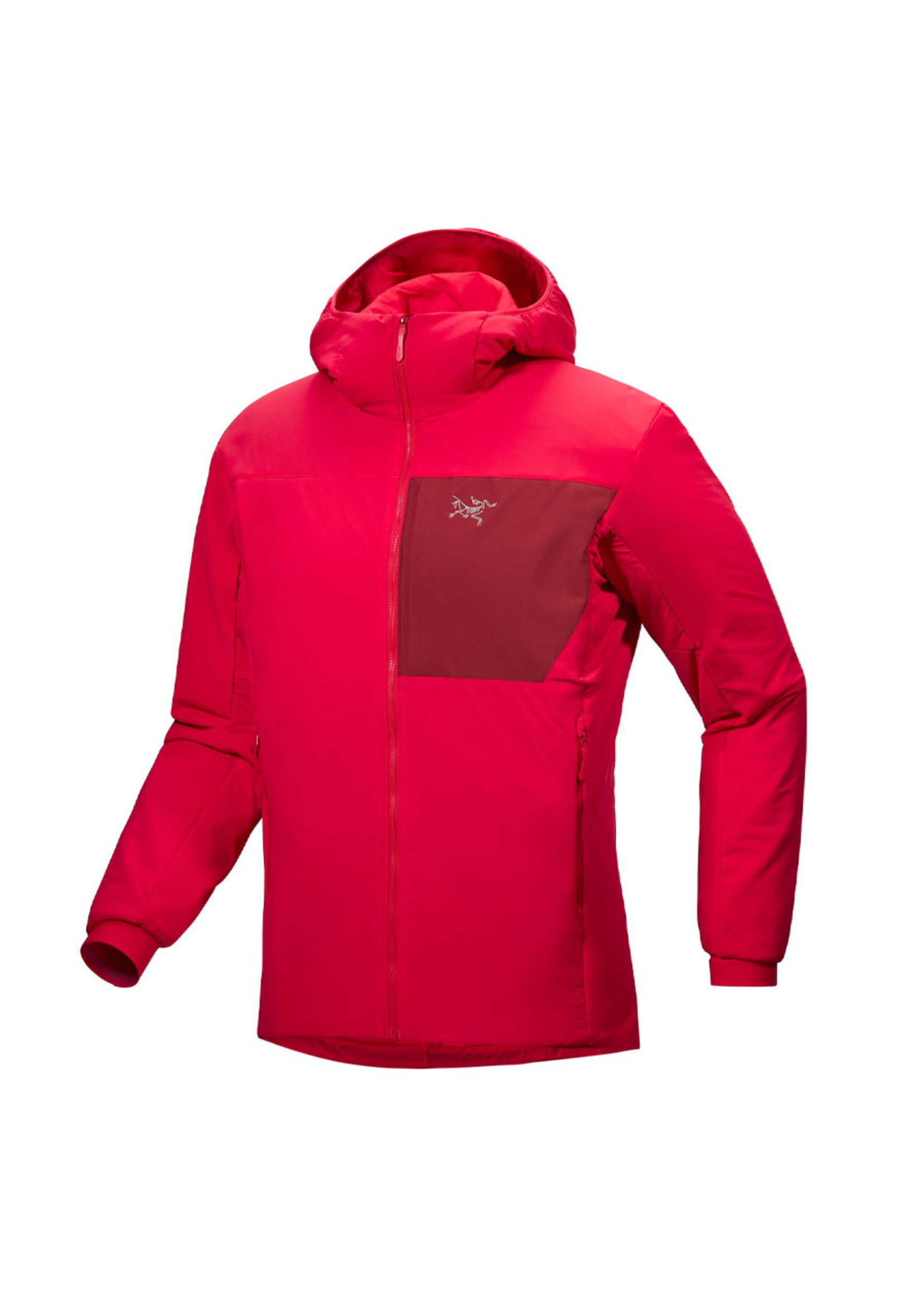 ARC'TERYX Veste à capuchon PROTON / Heritage (Homme)