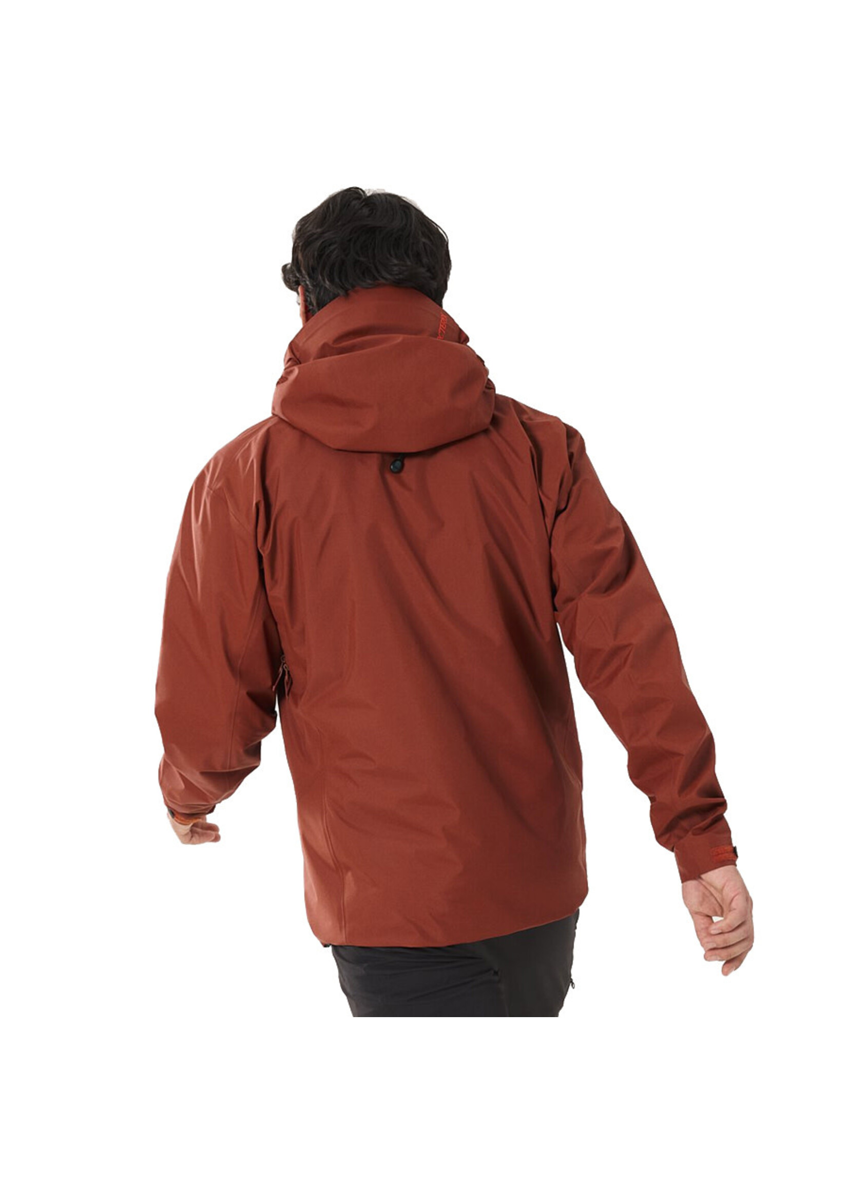 ARC'TERYX Veste à capuchon BETA SL / Sequoia (Homme)