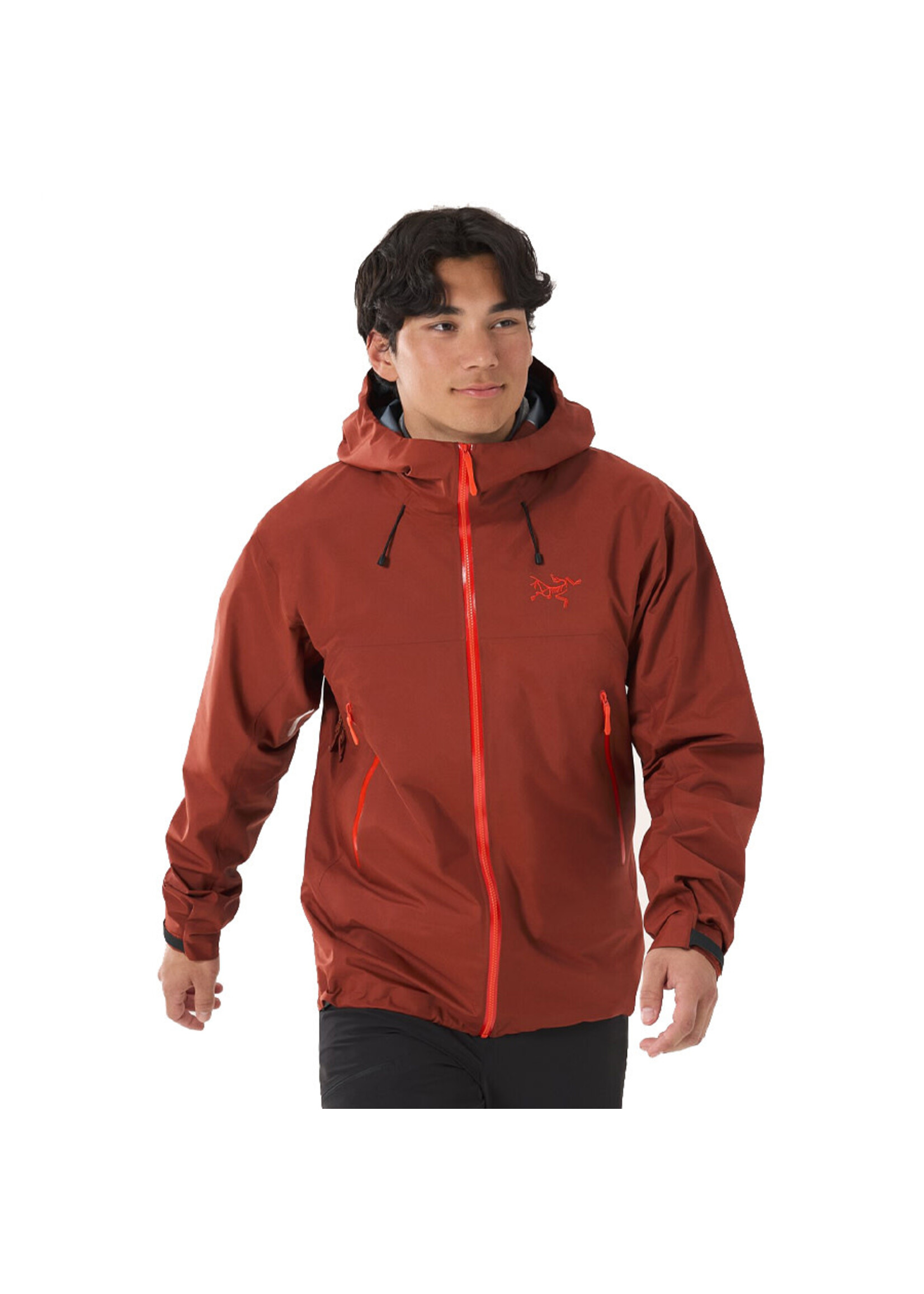 ARC'TERYX Veste à capuchon BETA SL / Sequoia (Homme)