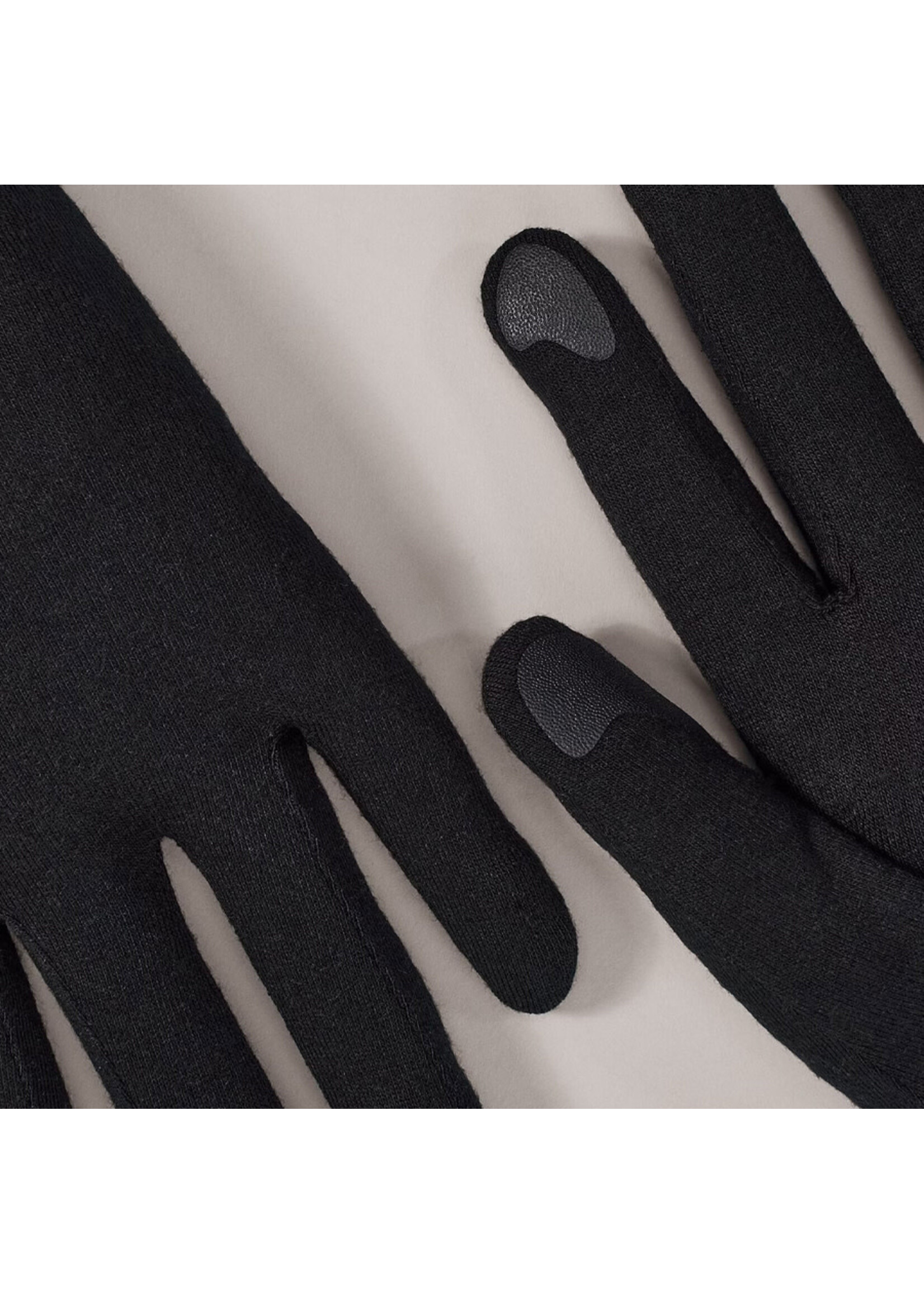 ARC'TERYX Gants GOTHIC / Noir