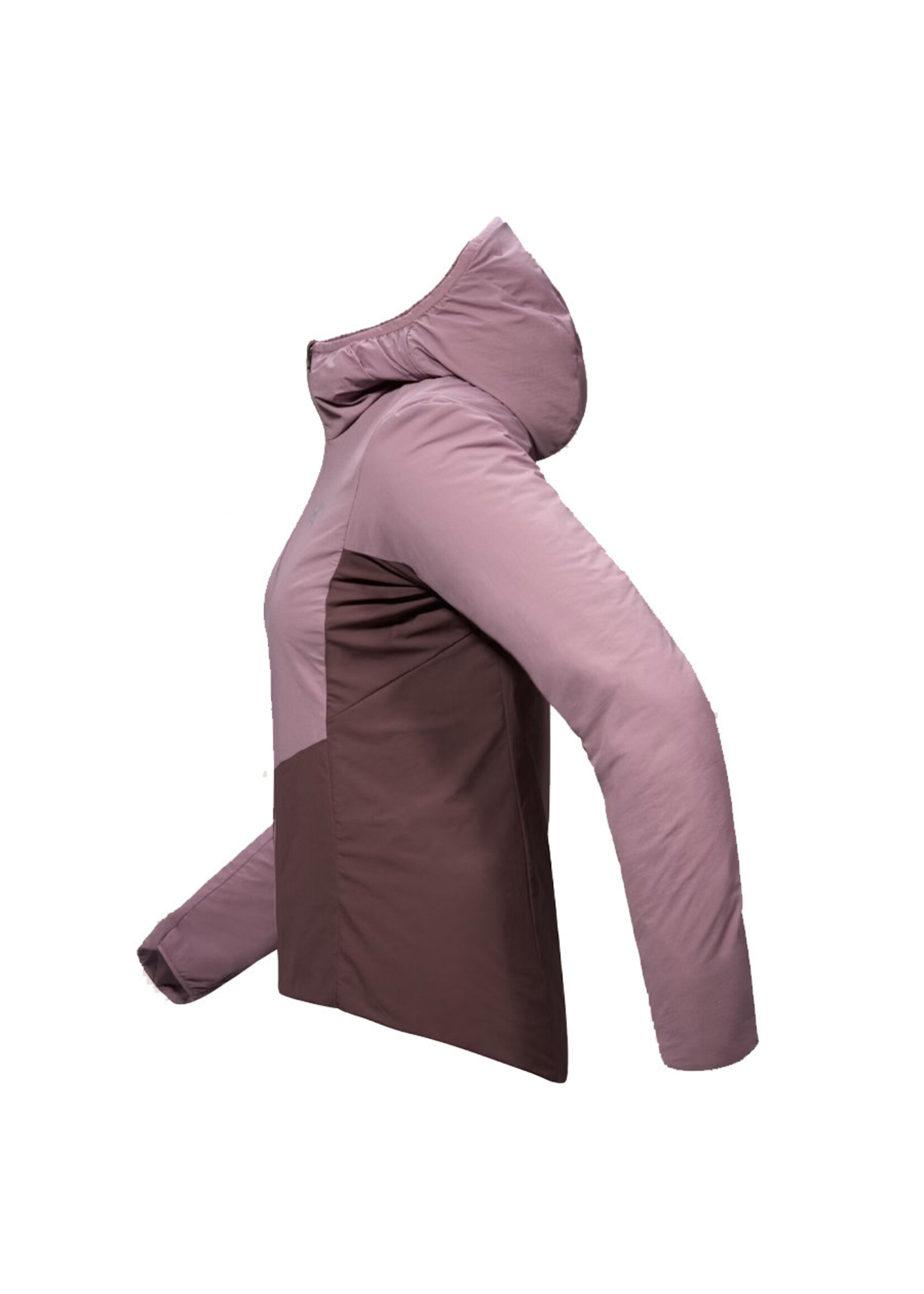ARC'TERYX Veste à capuchon NORVAN / Interstellar-Phantasm (Femme)