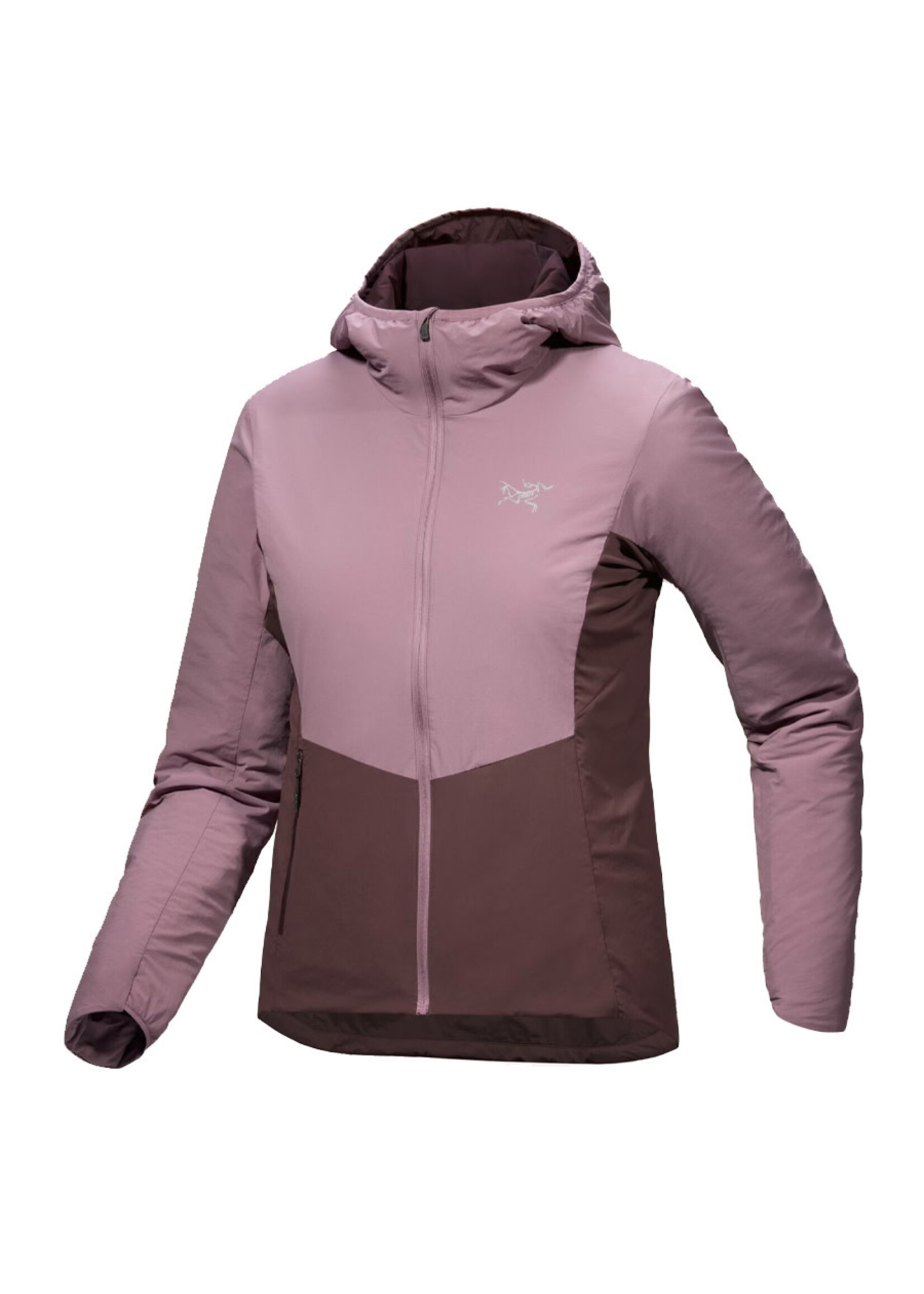 ARC'TERYX Veste à capuchon NORVAN / Interstellar-Phantasm (Femme)