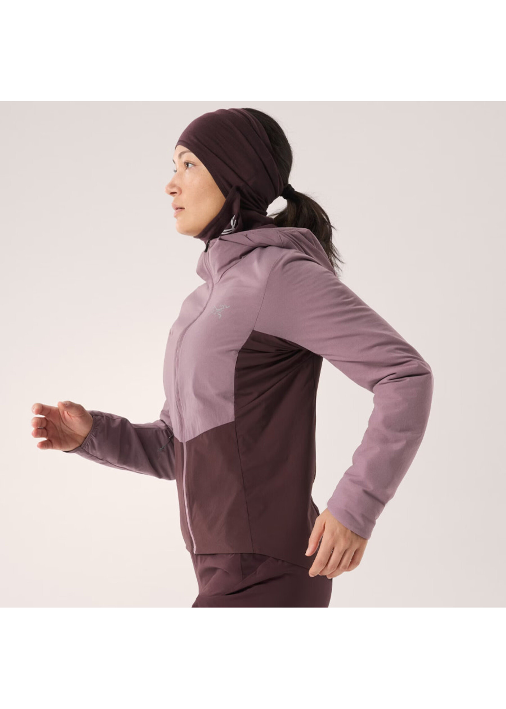 ARC'TERYX Veste à capuchon NORVAN / Interstellar-Phantasm (Femme)
