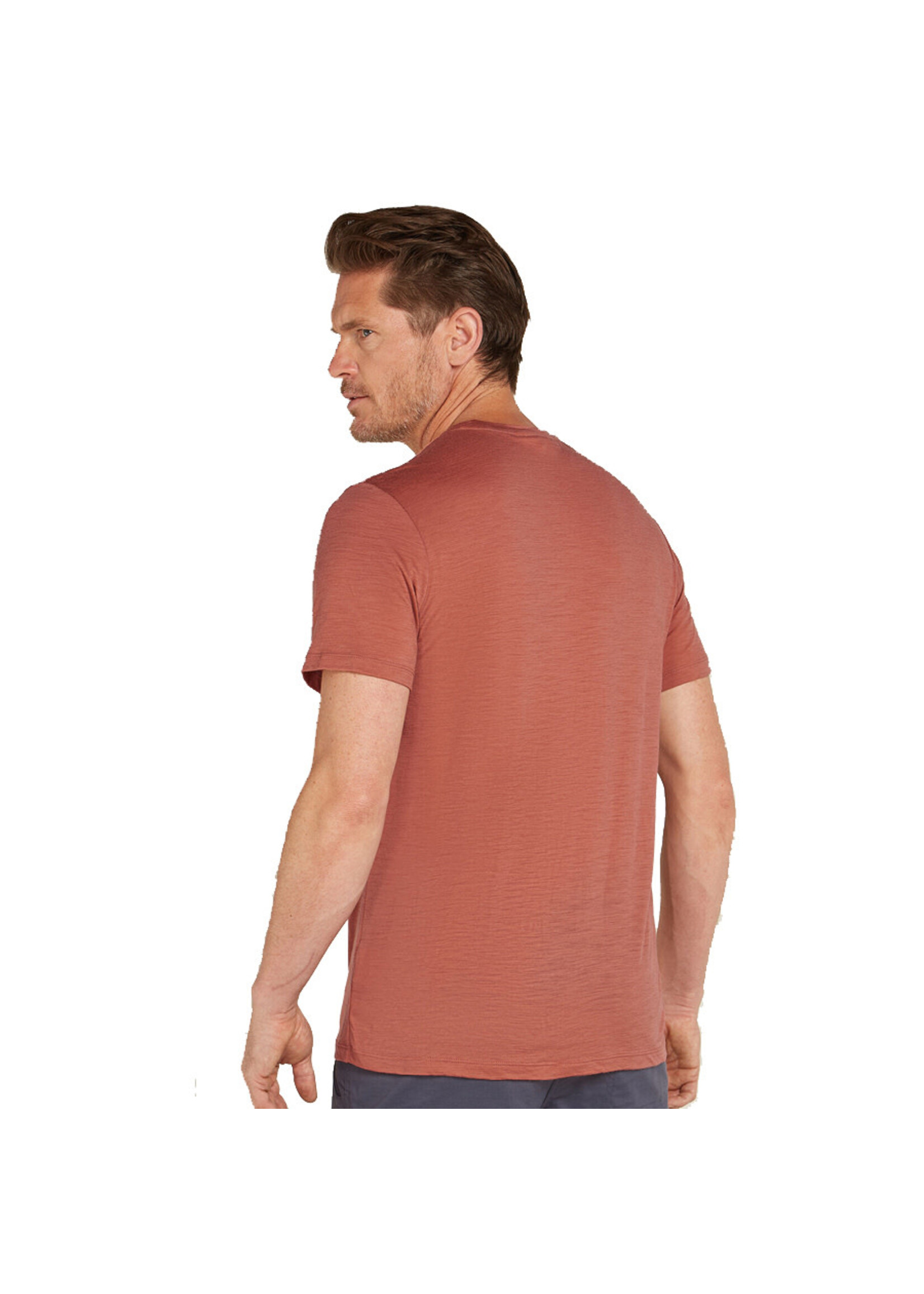 ICEBREAKER T-shirt 150 TECH LITE VAN LIFE / Cedar Wood (Homme)