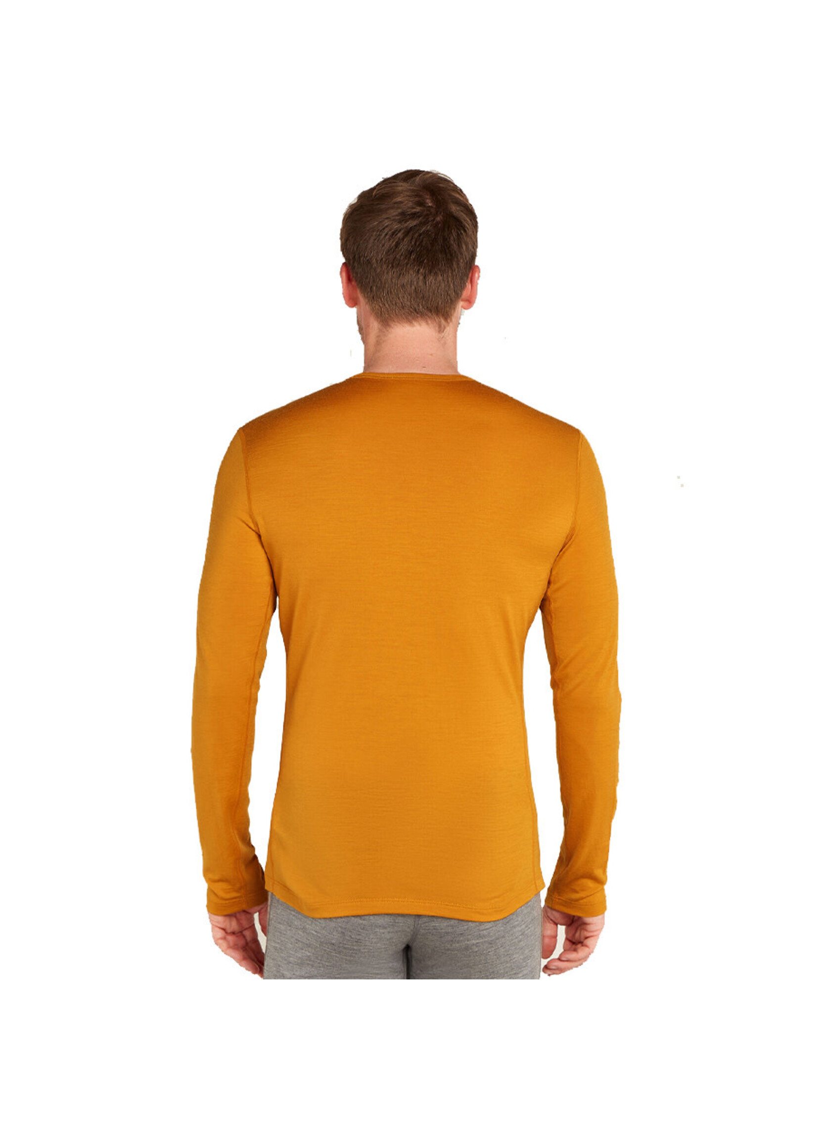ICEBREAKER Chandail 200 OASIS RUAPEHU ROUND / Ray (Homme)