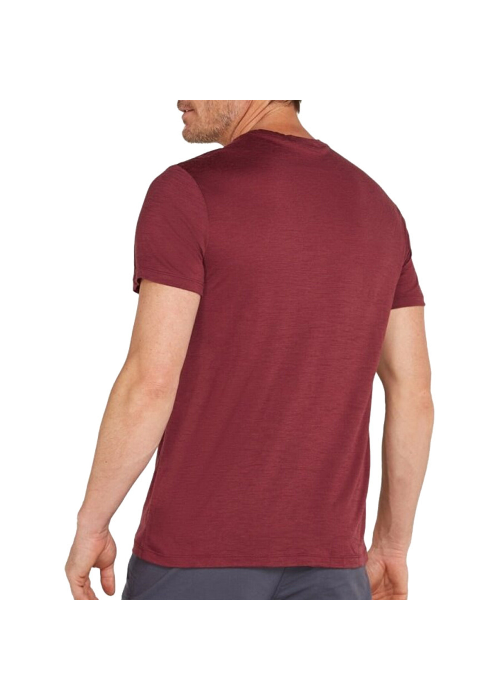 ICEBREAKER T-shirt 150 TECH LITE POLAR PADDLE / Port (Homme)