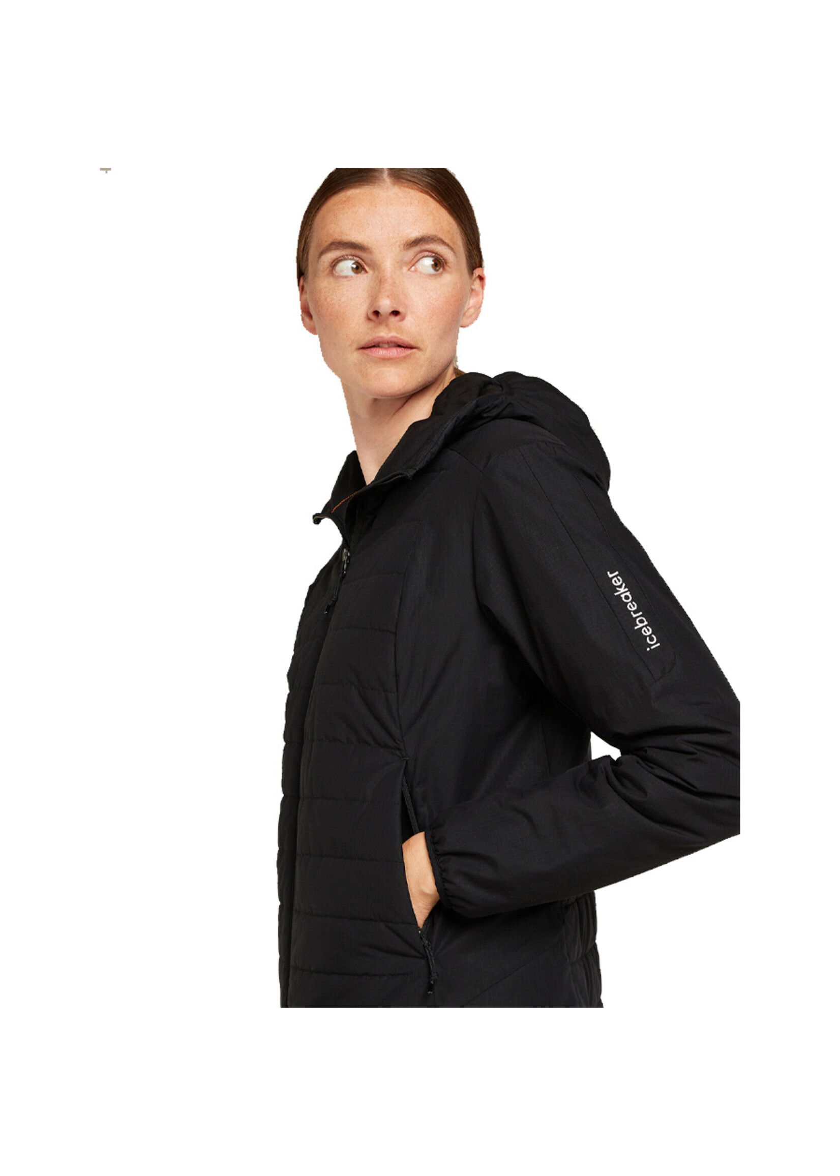 ICEBREAKER Veste 1360 MERINOLOFT (Femme)