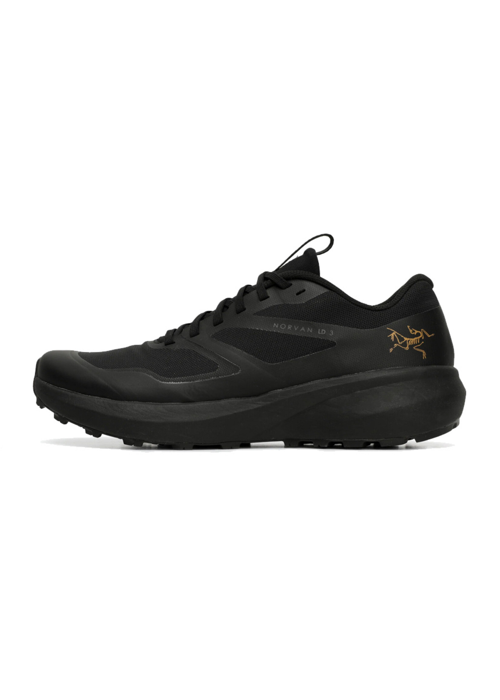 ARC'TERYX Souliers NORVAN LD 3 / Noir (Homme)