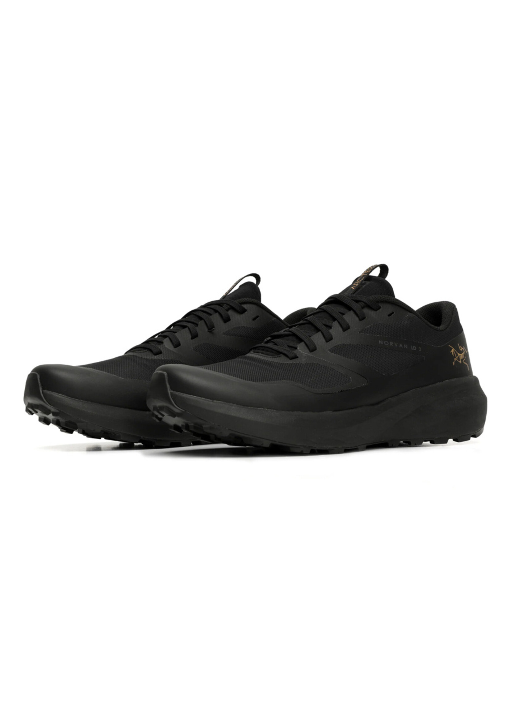 ARC'TERYX Souliers NORVAN LD 3 / Noir (Homme)