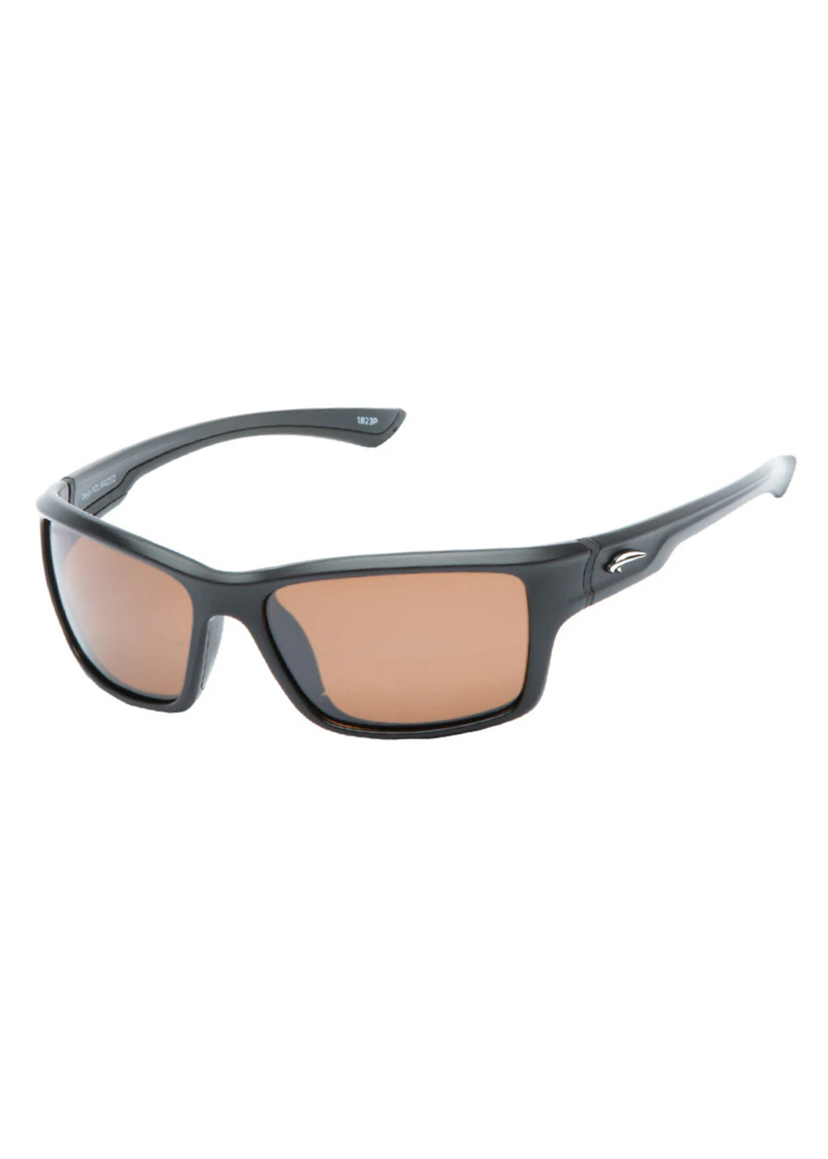ATMOSPHERE Lunettes de soleil BAJA / Matte Black - Brown Flash
