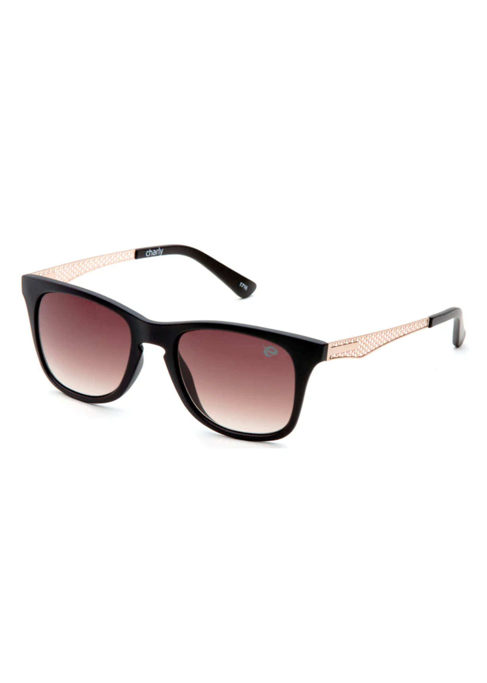 URBAN ELEMENT Lunettes de soleil CHARLY / Matte Brown - Brown Gradient