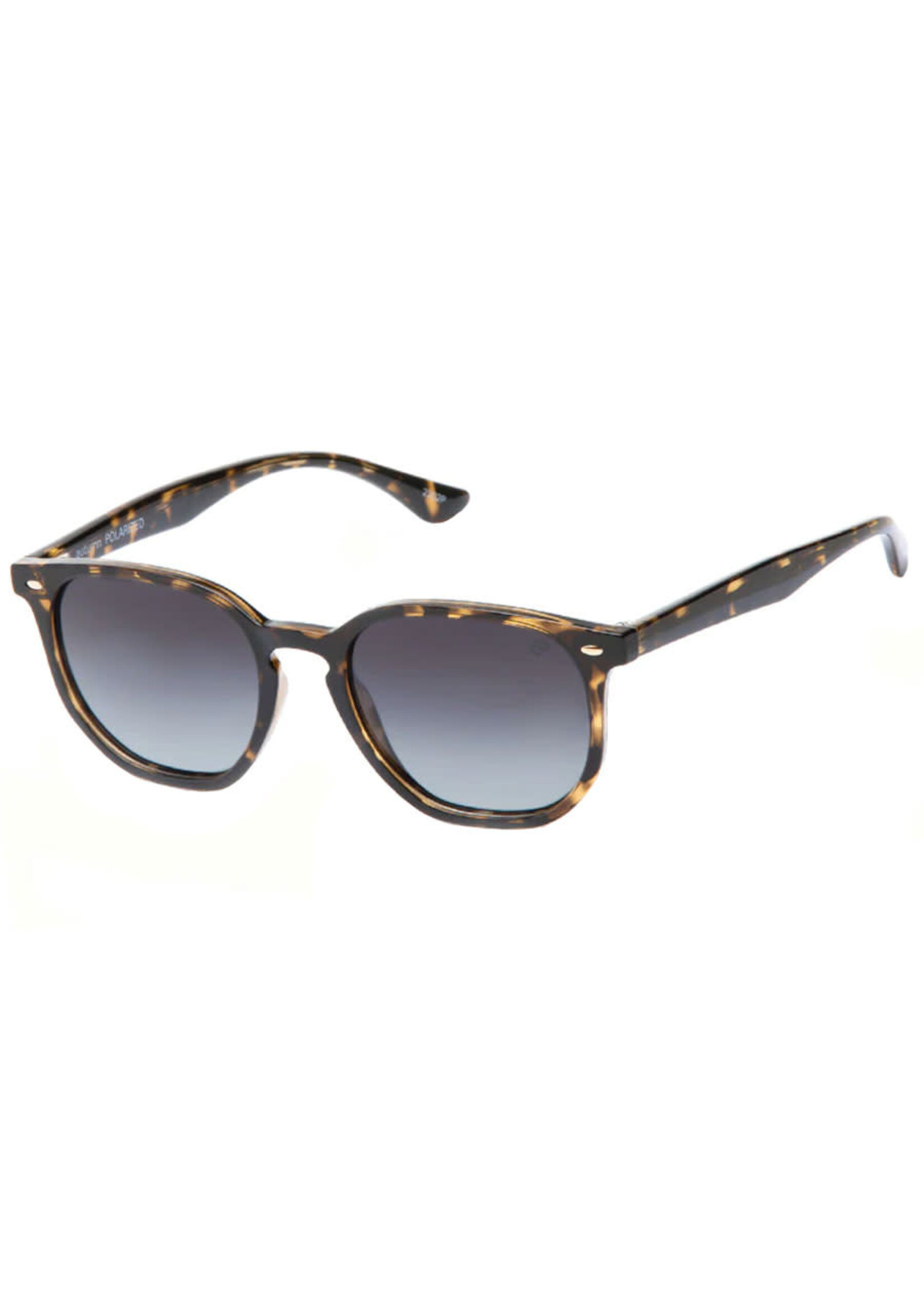 URBAN ELEMENT Lunettes de soleil AUTUMN (Unisexe)