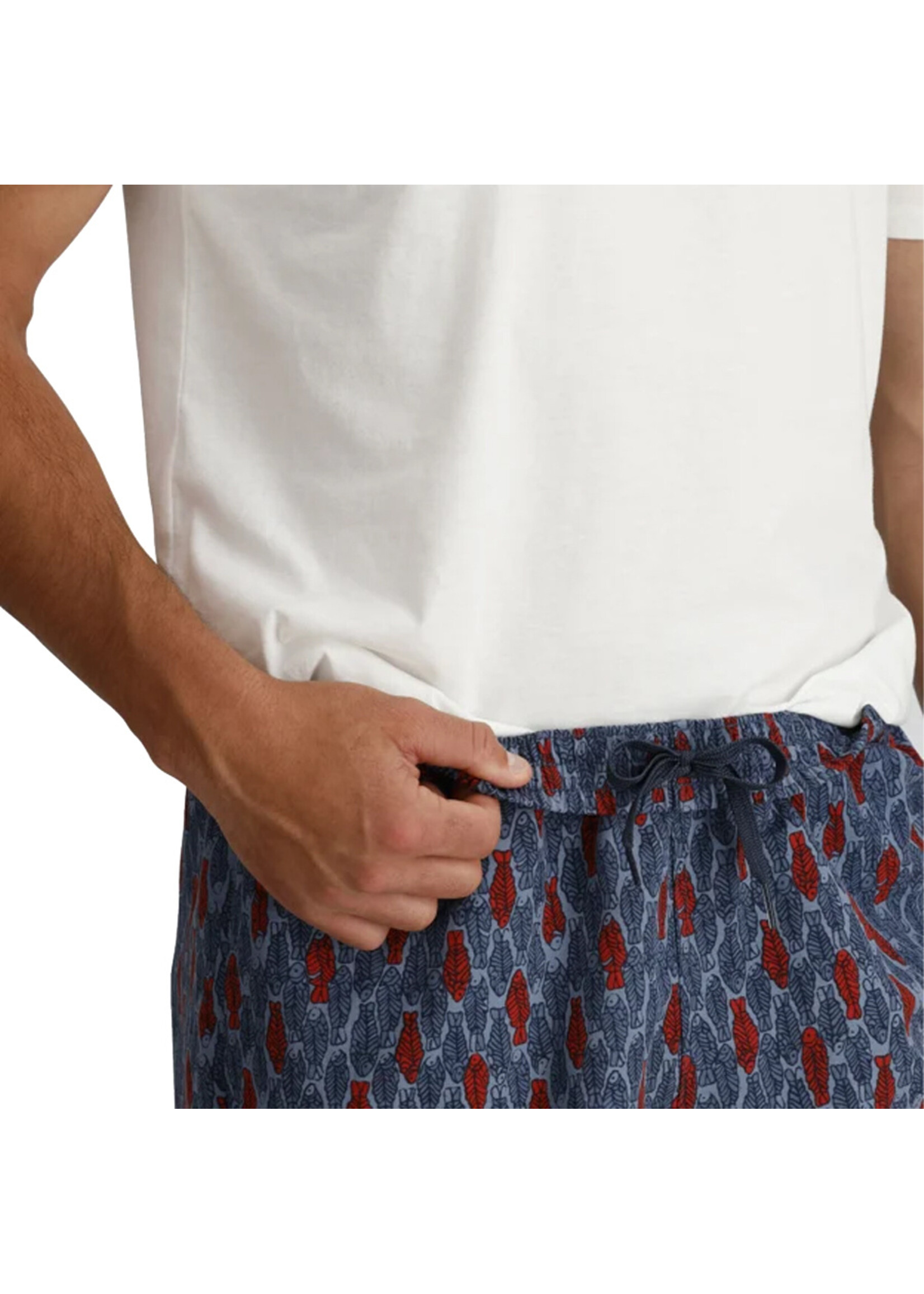 ROYAL ROBBINS Short ALL IN  / Navy Fish Pt (Homme)