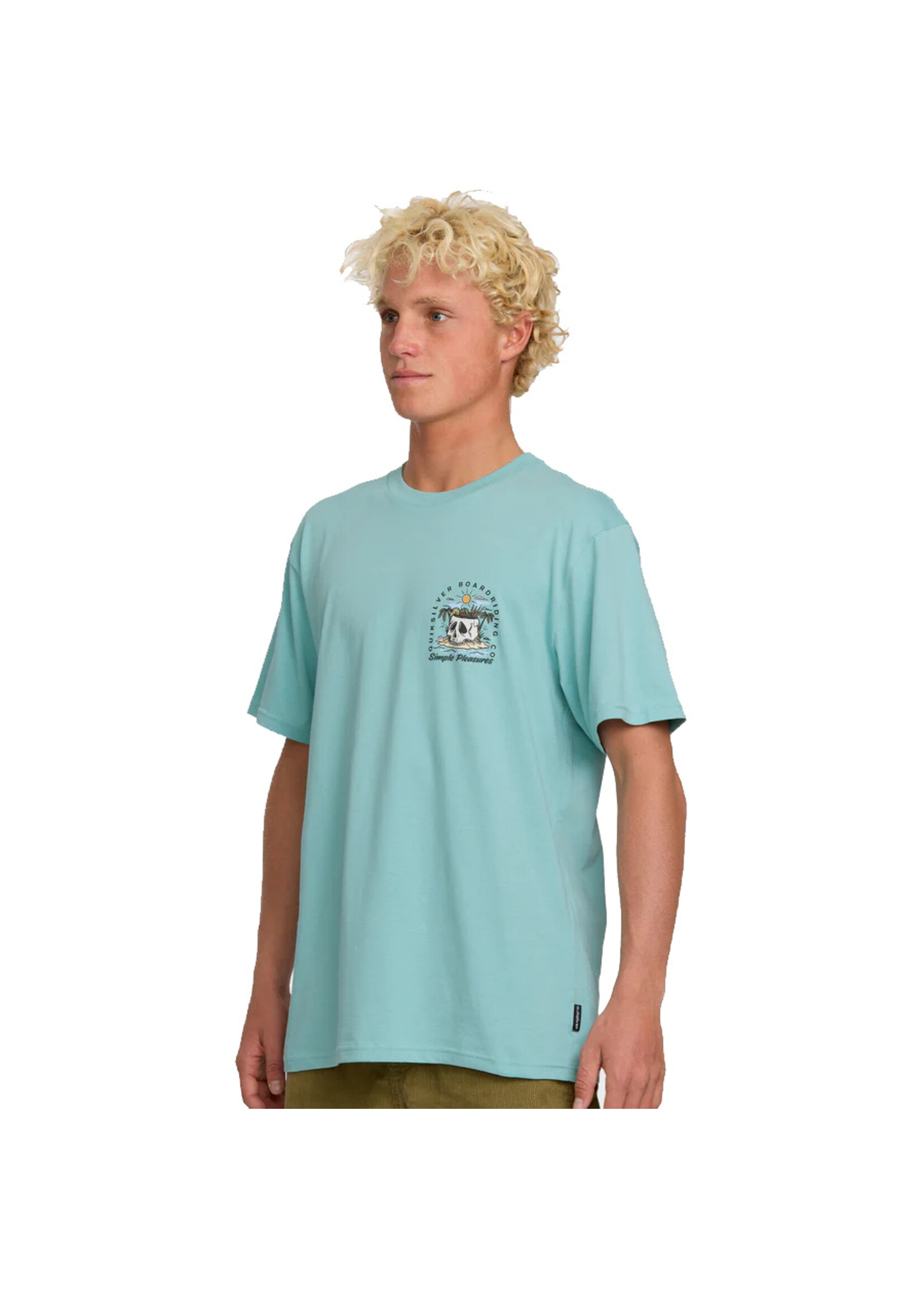QUICKSILVER T-shirt SIMPLE PLEASURES  / Jade grey